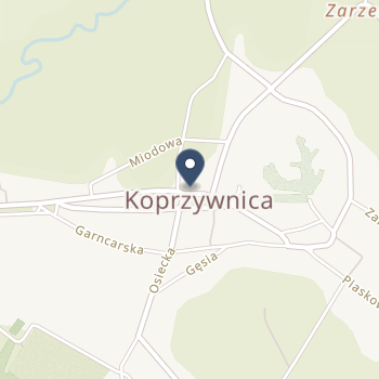 NZOZ Centrum Medyczne "Rokitek" w Sandomierzu na mapie