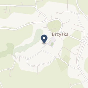 SPZOZ w Brzyskach na mapie
