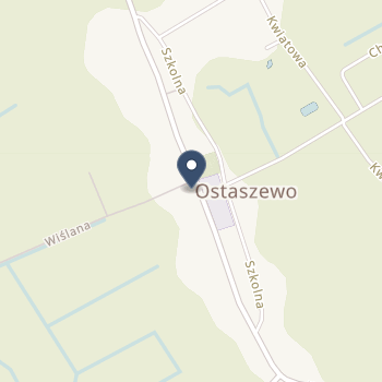 Szpital im. Dr Jadwigi Obodzińskiej-Król w Malborku na mapie