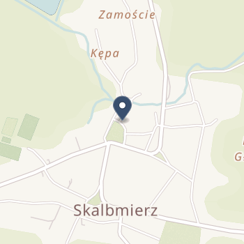 NZOZ Skalbmed w Skalbmierzu na mapie