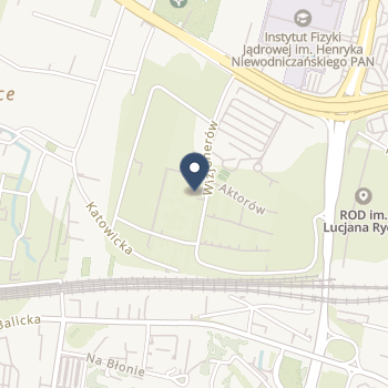 Wizjomed na mapie