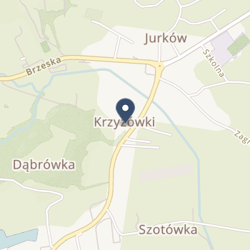 Zakład Opiekuńczo-Leczniczy na mapie