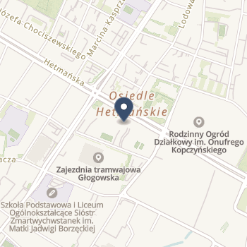 Pielęgniarstwo Medpoznan.Pl na mapie