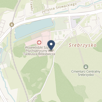 Wojewódzki Szpital Psychiatryczny im. prof. Tadeusza Bilikiewicza w Gdańsku na mapie