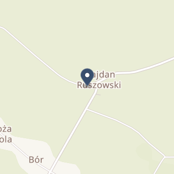 Wiol-Med Jolanta Markiewicz, Wioleta Denis na mapie