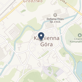 Dolnośląskie Centrum Leczenia Uzależnień w Czarnym Borze na mapie