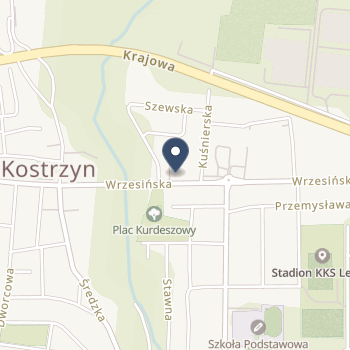Wielkopolskie Centrum Medycyny Rodzinnej na mapie
