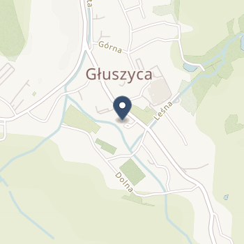 IPL Wiesława Leszczyk na mapie
