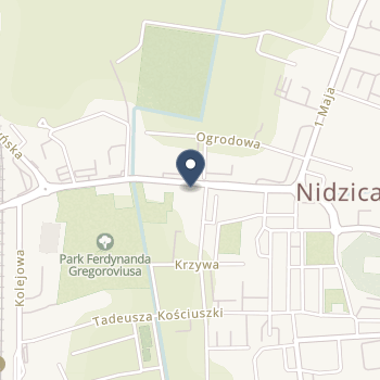 Wojewódzki Szpital Rehabilitacyjny dla dzieci w Ameryce na mapie