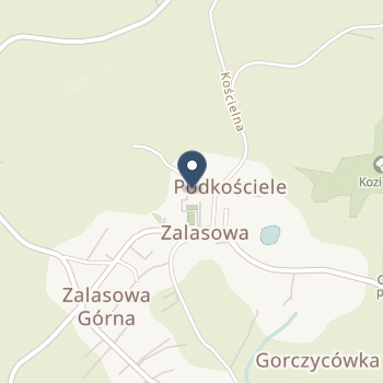 NZOZ "Palmed" Centrum Opiekunczo-Lecznicze na mapie