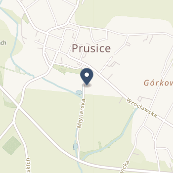 Prusickie Centrum Medyczne na mapie