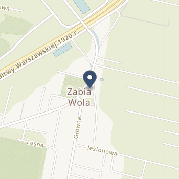Centrum Opieki Zdrowotnej Żabia Wola na mapie