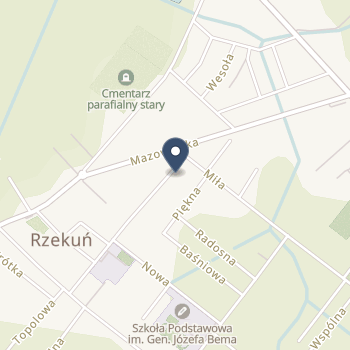 Ośrodek Wczesnej Interwencji "Promyk" na mapie