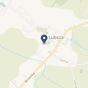 NZOZ Sokół na mapie
