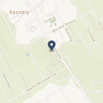 Cooperante Karol Kowalczyk na mapie