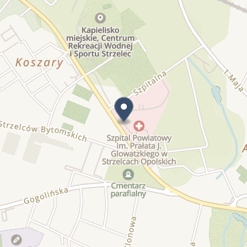 Szpital Powiatowy im. Prałata J. Glowatzkiego w Strzelcach Opolskich na mapie