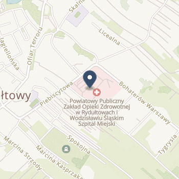 Szpital Powiatowy w Wodzisławiu Śląskim na mapie