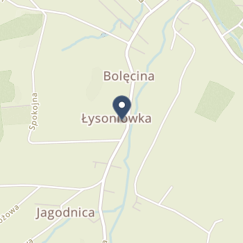Kashyk na mapie