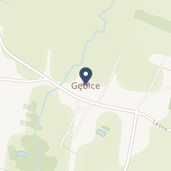 SPZOZ w Mogilnie na mapie