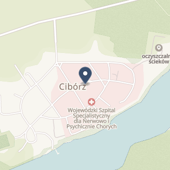 Wojewódzki Szpital Specjalistyczny dla Nerwowo i Psychicznie Chorych SPZOZ w Ciborzu na mapie