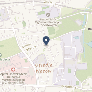 Wojewódzki Szpital Specjalistyczny dla Nerwowo i Psychicznie Chorych SPZOZ w Ciborzu na mapie