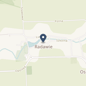 Falck Medycyna Region Opolski na mapie