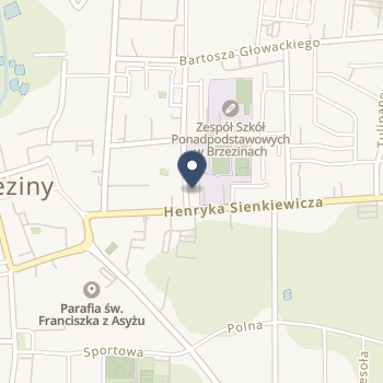 Szpital Powiatowy w Brzezinach na mapie
