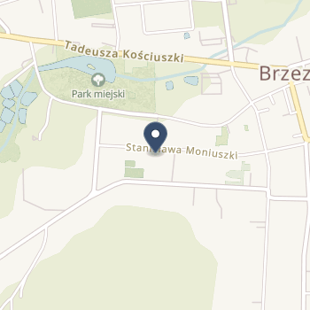 Szpital Powiatowy w Brzezinach na mapie