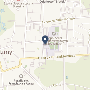 Szpital Powiatowy w Brzezinach na mapie