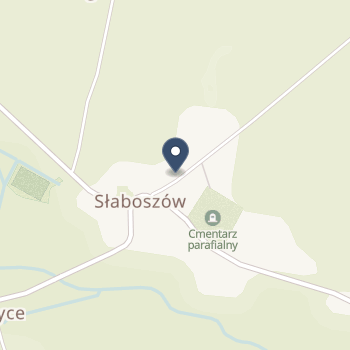SPZOZ w Słaboszowie z siedzibą w Dziaduszycach na mapie