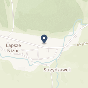 Gminny Ośrodek Zdrowia w Łapszach Niżnych na mapie
