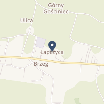 Samodzielny Publiczny Gminny ZOZ Bochnia na mapie
