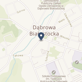 Pałac na Wodzie Falkowski na mapie
