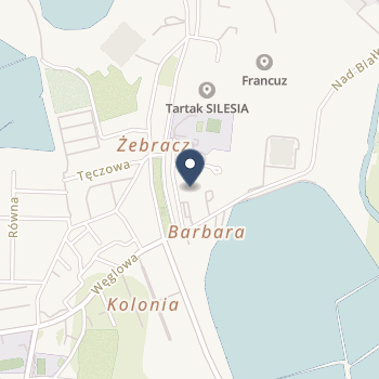 Zofia Witkowska na mapie