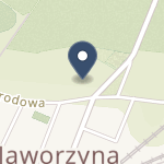 Samorządowa Przychodnia Zdrowia na mapie