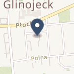 SPZZOZ w Glinojecku na mapie