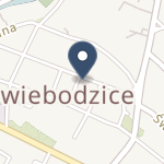 Specjalistyczna Praktyka Stomatologiczna na mapie