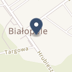 NZOZ Ośrodek Zdrowia w Białopolu na mapie