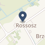 Przychodnia Omni Medical na mapie