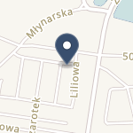 Centrum Medyczne Ogrodowa na mapie