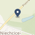 NZOZ w Niechcicach na mapie