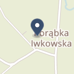 Wielomed Witowska Wielogłowy na mapie