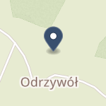Samorządowy ZOZ w Złotej na mapie