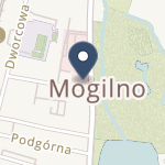 SPZOZ w Mogilnie na mapie