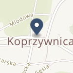 NZOZ Centrum Medyczne "Rokitek" w Sandomierzu na mapie