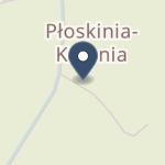 Gminny Ośrodek Zdrowia w Płoskini na mapie