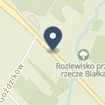 Specjalistyczna Przychodnia Lekarska Panaceum Z.Z. Brzezin na mapie