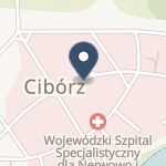 Wojewódzki Szpital Specjalistyczny dla Nerwowo i Psychicznie Chorych SPZOZ w Ciborzu na mapie
