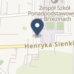 Szpital Powiatowy w Brzezinach na mapie
