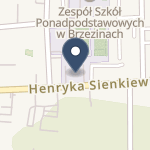Szpital Powiatowy w Brzezinach na mapie